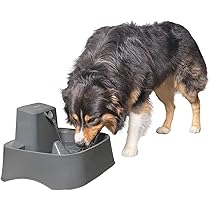 best pet fountain for large dogs