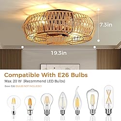 Mcestna Caged Ceiling Fan with Lights - 20 Inch