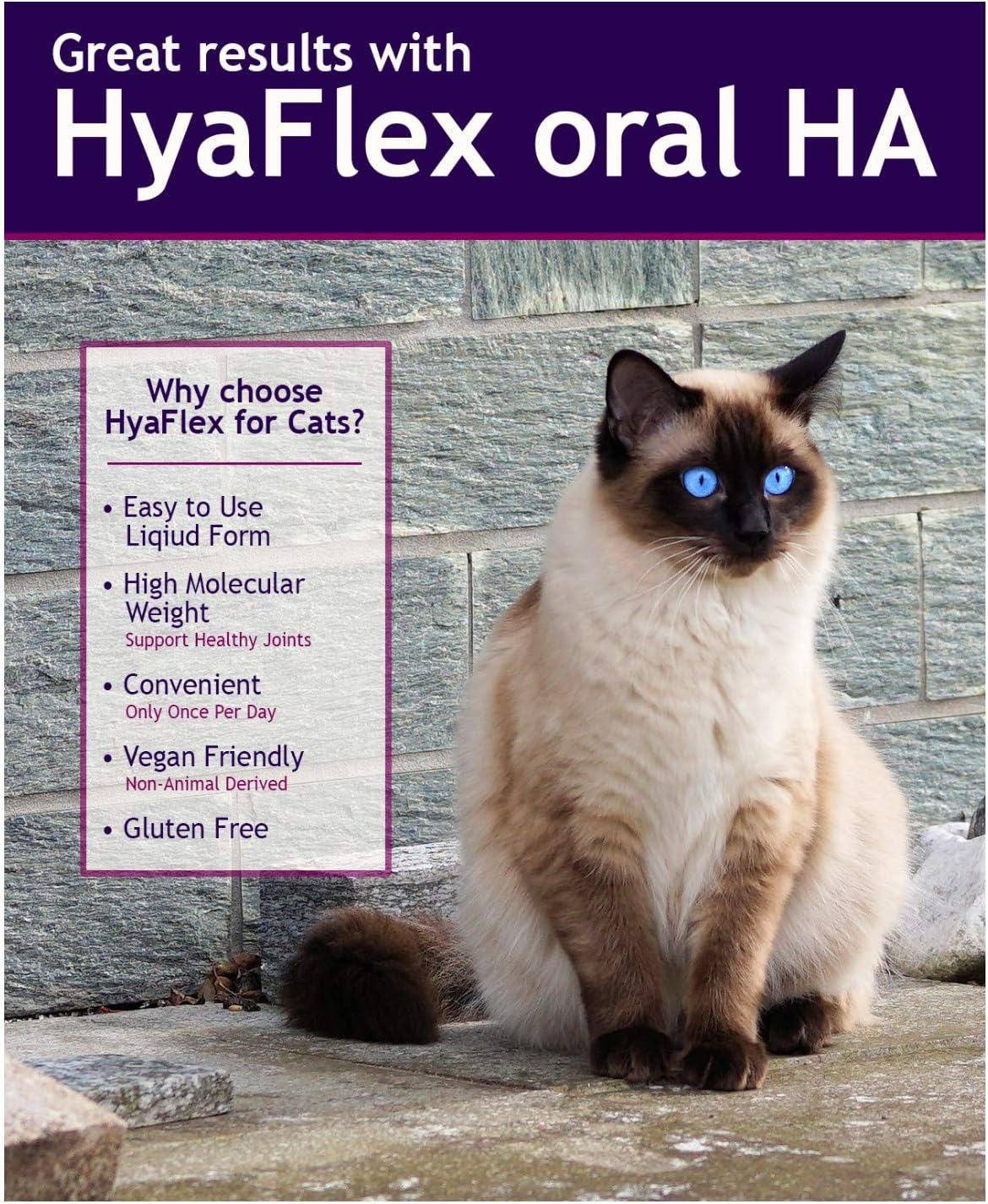 Cat Joint Supplement, Hyalogic Liquid Hyaluronic Acid Cat Supplements– 30-60 Day Supply, 1oz HA, Cartilage Supplement, Hip & Joint Supplement - Cat Health Supplies, W/ No Fuss Dropper : Pet Bone And Joint Supplements : Pet Supplies