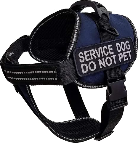 blue vest service dog