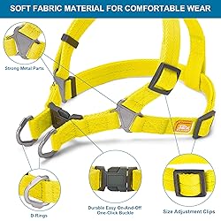 Jax Planet Dog Harness and Leash - Comfortable