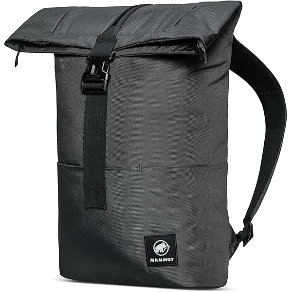 Amazon.com | Mammut Seon Transporter 25 Pack, Marine, 2510-03911
