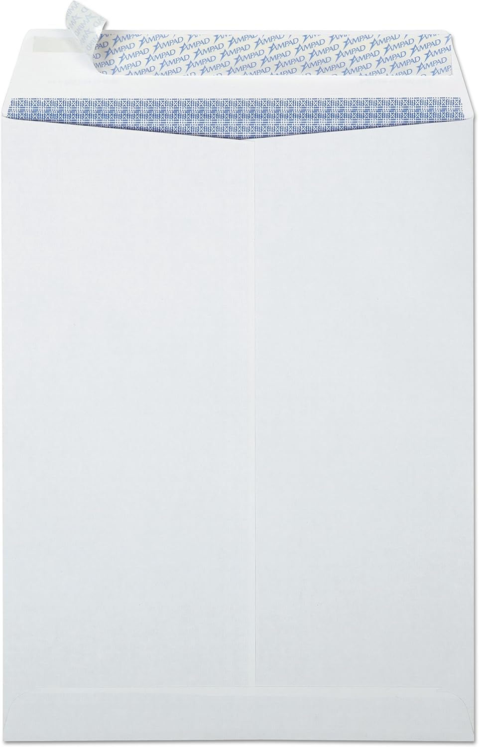Ampad Fastrip Security Catalog Envelope, 9 Inch x 12 Inch, Peel & Seal Adhesive, Security Tint, Tear-Away Quick-Open Strip, White, 100 Per Box (73127) : Office Products