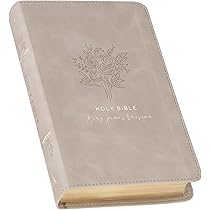 KJV Holy Bible, Mini Pocket Size, Faux Leather Red Letter Edition