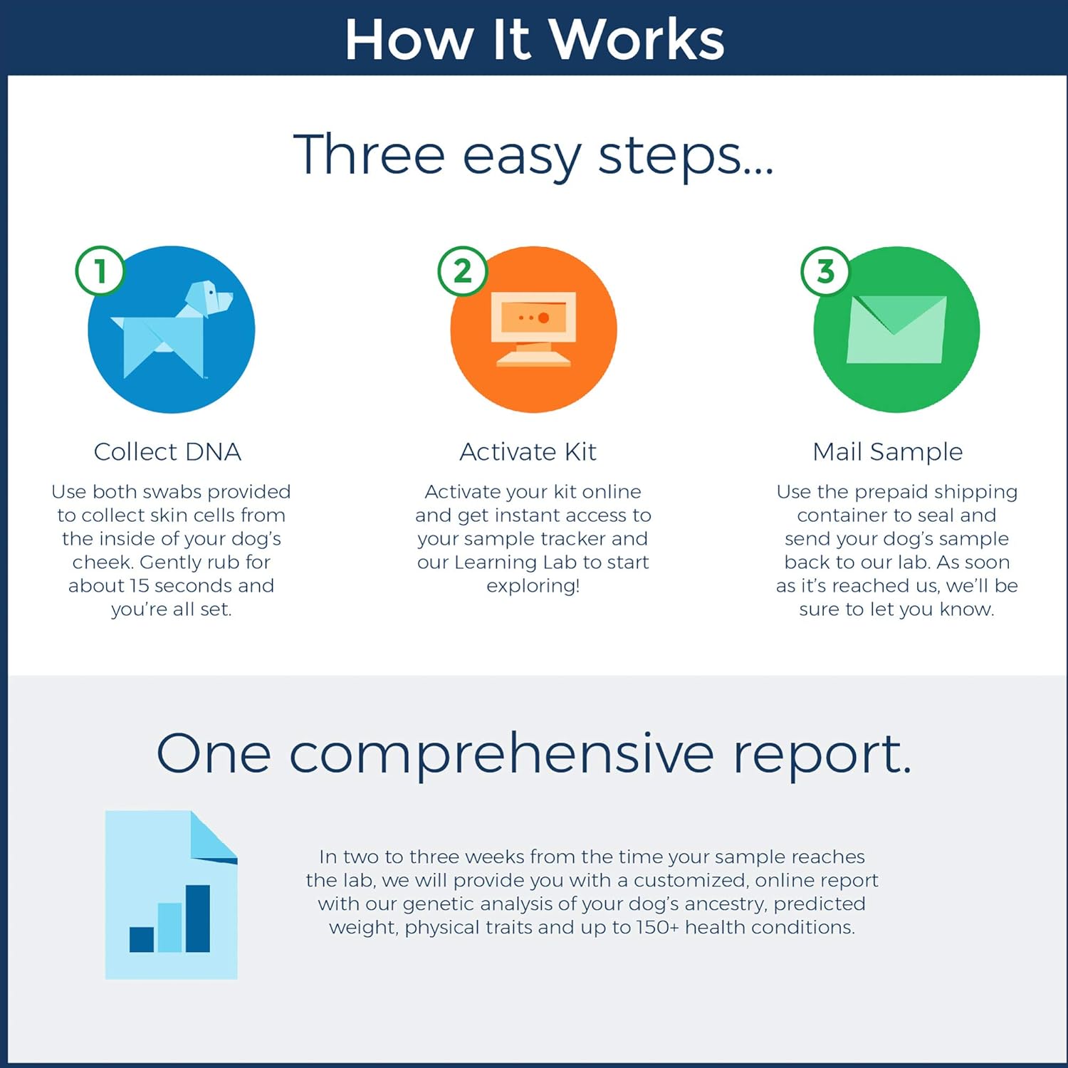 what to feed your dog for constipation