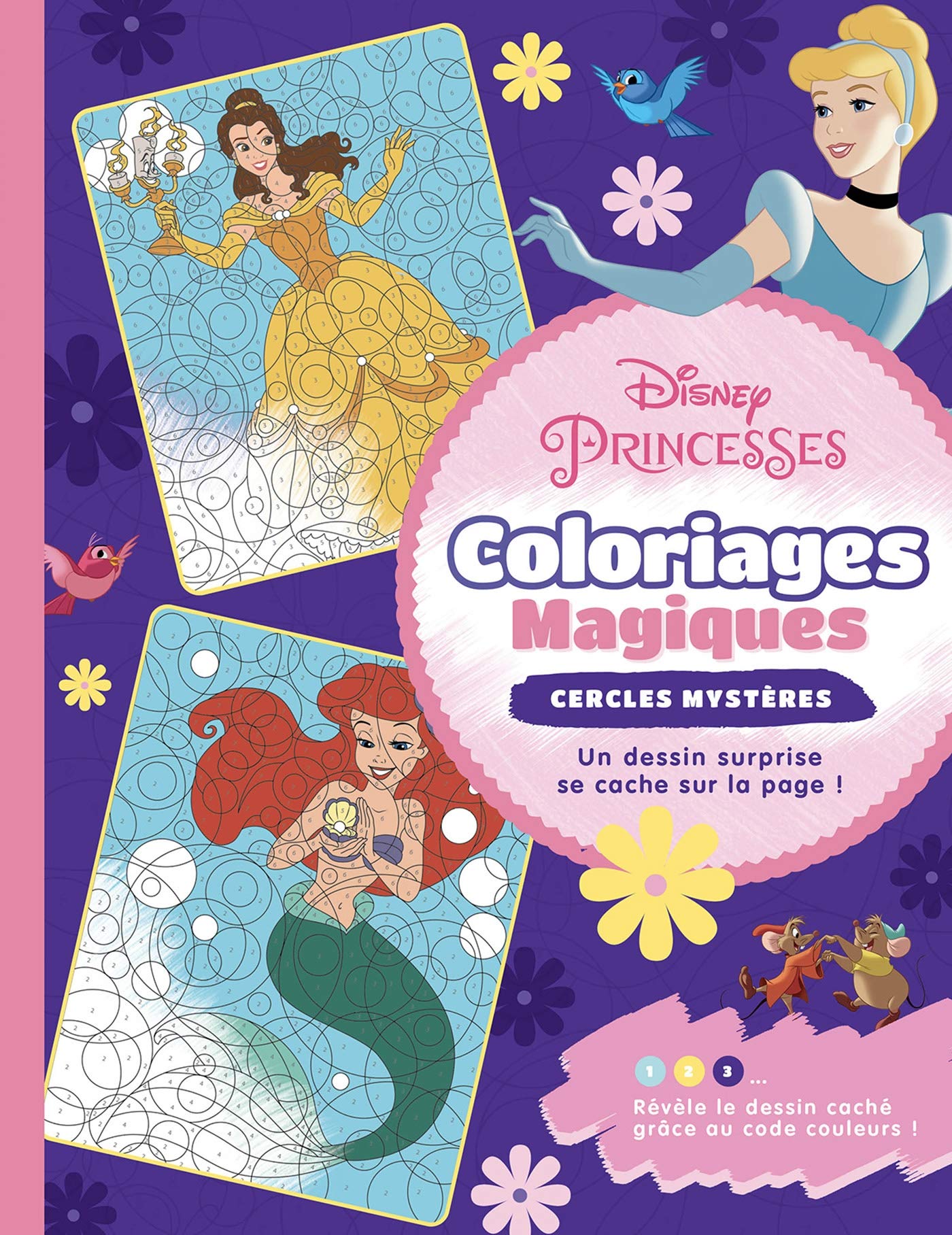 Disney Princesses Coloriages Magiques Cercles Mysteres Amazon Com Books