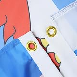 AZ FLAG Luxembourg Red Lions Flag 3x5 ft 100D Polyester with Grommets view 2