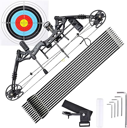 professional archery set