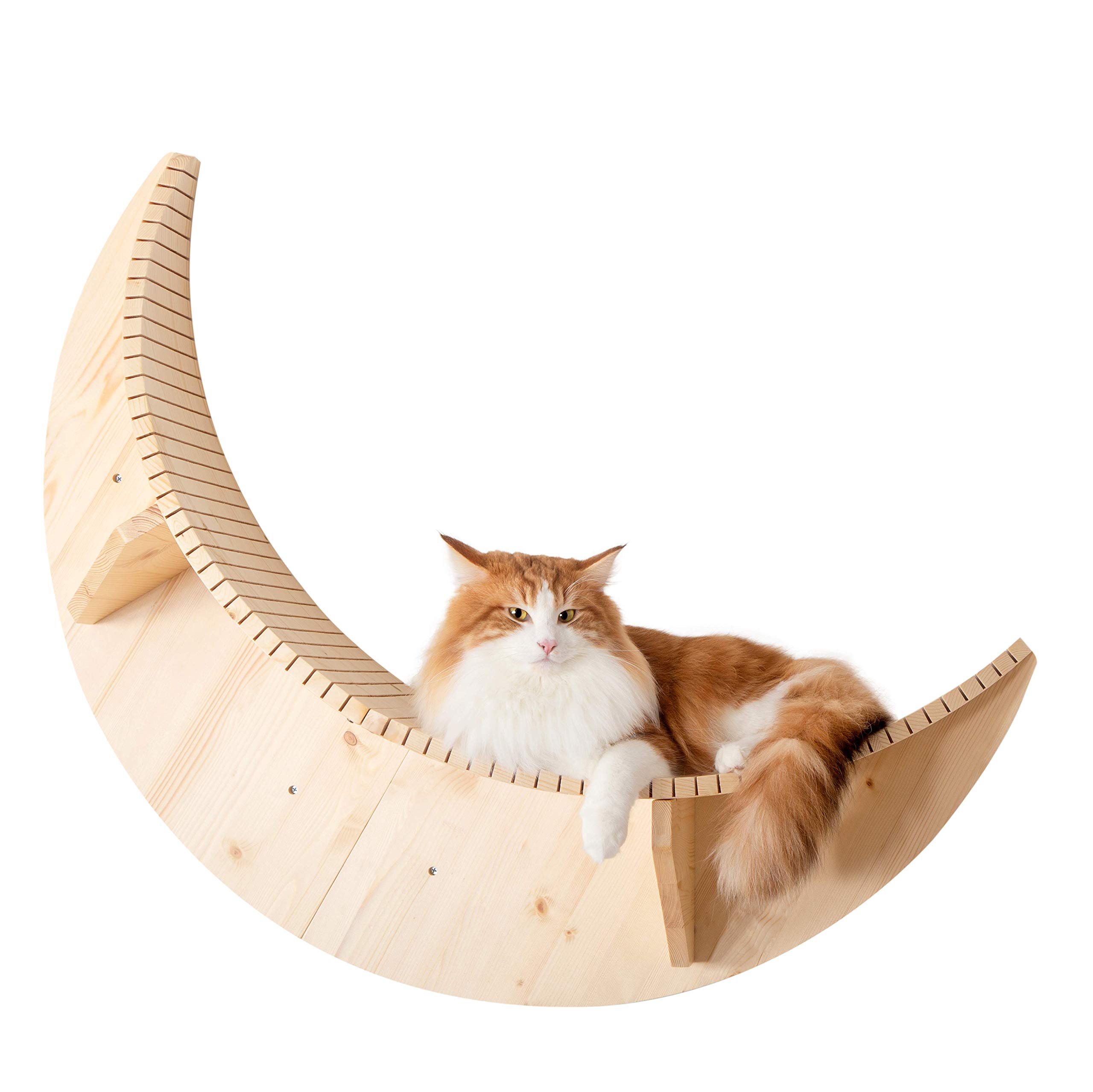 Myzoo Luna Wall Mounted Cat Bed Wooden Cat Furniture Floating Cat Perch Cat Tree Cat Shelves Buy Online In Guernsey At Guernsey Desertcart Com Productid 169603620