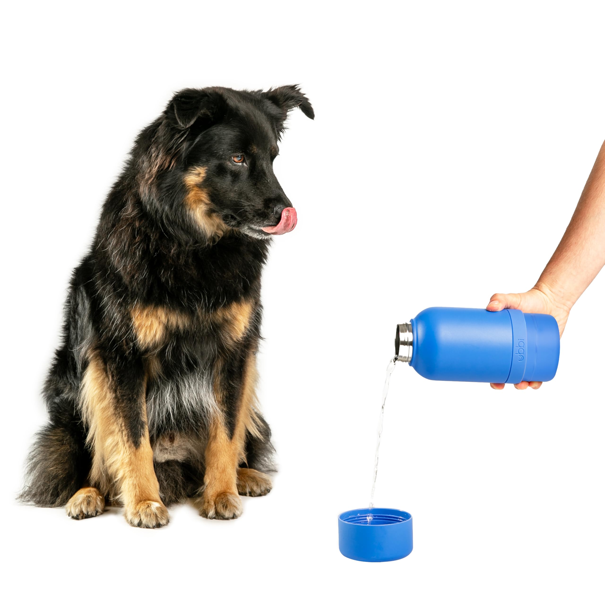 Ubbi Stainless Steel Insulated Portable 32 oz. Water Bottle for Dogs and Owners with Attached Dog Bowl, Blue