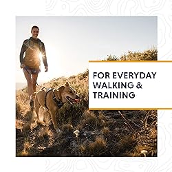 Ruffwear, Front Range Dog Harness, Reflective and
