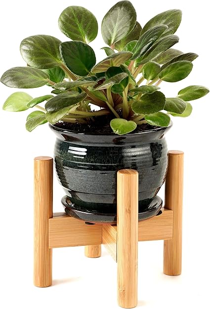 Amazon Com Plant Stands For Indoor Plants Small Size 6 Inch Wide X 6 5 Inch Tall For Table Top Succulents Flowers Small Pots Planters And Vases Natural Bamboo Wood Garden Outdoor