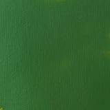 Liquitex Basics Hooker's Green Permanent Hue 118 ml Acrylic Paint view 2
