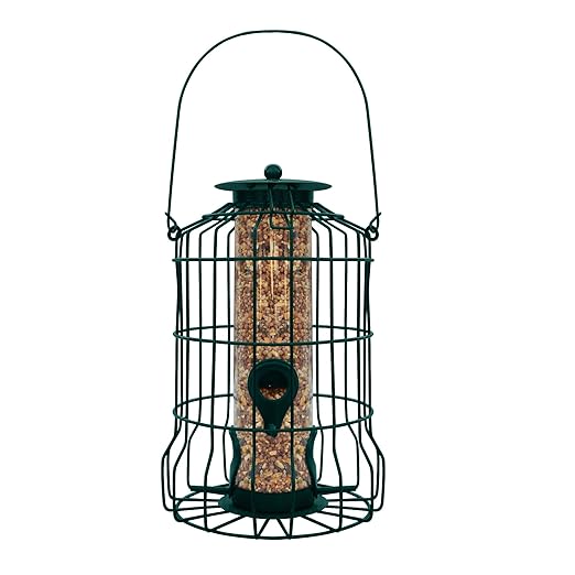 Graybunny Gb 6860 Caged Tube Feeder Squirrel Proof Wild Bird