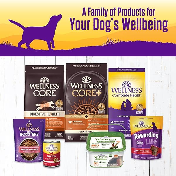 WELLNESS COMPLETE HEALTH THICK & CHUNKY NATURAL GRAIN FREE CANNED WET DOG FOOD, CHICKEN STEW, 12.5-OUNCE CAN (PACK OF 12)
