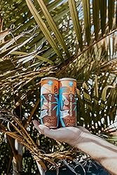Commander Ron's Root Beer, Craft Soda 4-Pack of 12