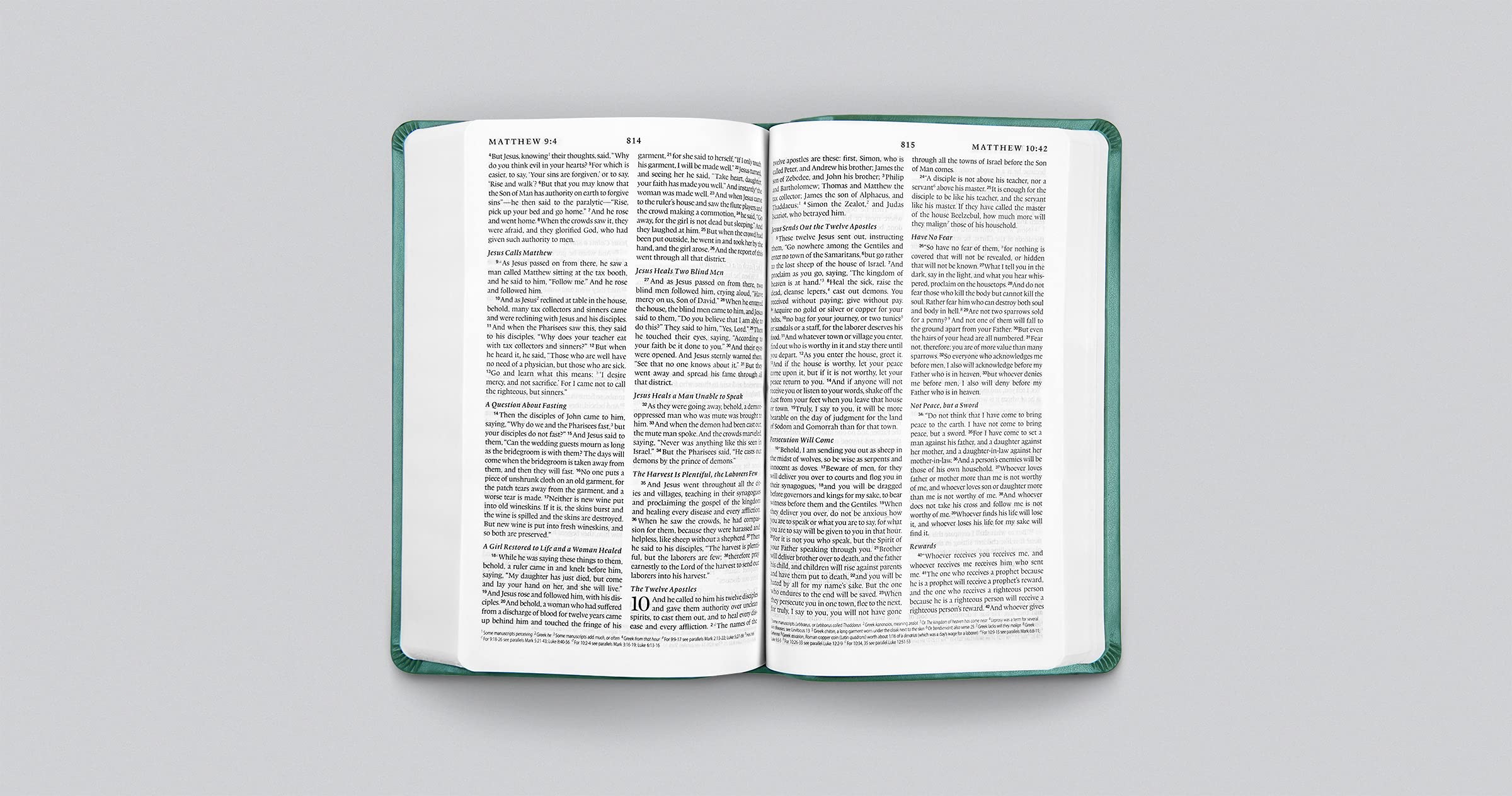ESV Premium Gift Bible (TruTone, Teal, Floral Design): Holy Bible, English Standard Version