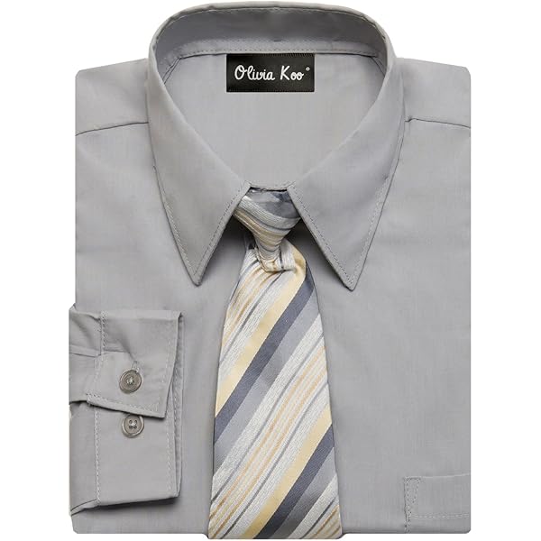 Amazon.com: King Formal Wear Elegant Boys Button Down Silver (705) Dress  Shirt/Necktie/Hanky (16): Clothing, Shoes & Jewelry
