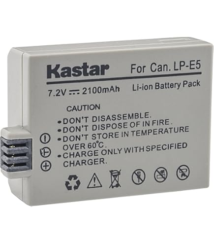 Pack 2 Batteries LP-E5 + Chargeur USB Double LED Pour Canon EOS Rebel T1i, XSi, 500D, 450D - Compatible LP-E5