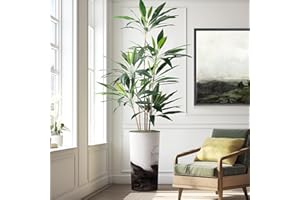SIGNWIN Artificial Tree in Contemporary Planter, Fake Dracaena Tree Silk Tree for Indoor and Outdoor Home Decoration - 66" Overall Tall (Plant Pot Plus Tree)