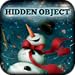 Hidden Object - Christmas Wish