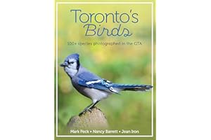 Toronto's Birds: 100+ species photographed in the GTA
