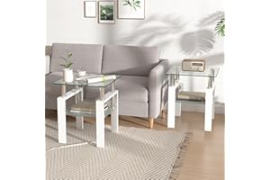 Glass Side Table Set of 2, 2-Tier Modern End Table with Tempered Glass & White Metal Legs, Nightstand Bedside Table for Livin