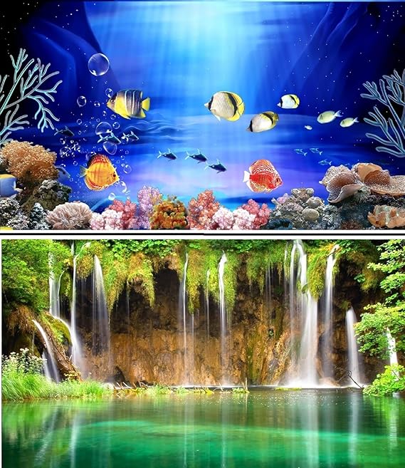 30cm (12 &ldquo;) haut double face pour le poisson de fond de l&rsquo;Aquarium de