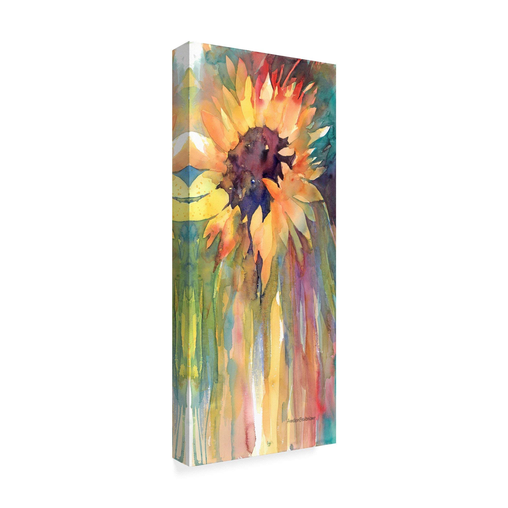 Trademark Fine Art ALI38236-C1024GG Rays of Sun by Annelein Beukenkamp 10" x 24" Fine Art, 10x24-Inch, Multicolor