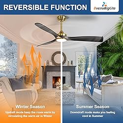 BvenuBigLite Ceiling Fan with Light Modern: 52 Inch