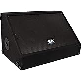 Seismic Audio - 15 Inch 350 Watts Floor Monitor Studio, Stage, or Floor use - PA/DJ Speakers - Bar, Band, Karaoke, Church, Drummer use