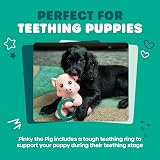 Webbox Pinky the Pig Plush Squeaky Dog Toy with Teething Ring view 2