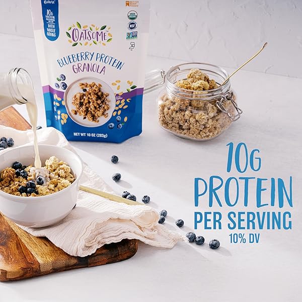 OATSOME BLUEBERRY PROTEIN GRANOLA, 10G PROTEIN, GLUTEN FREE, MADE WITH WHOLE GRAIN ORGANIC OATS, REAL BLUEBERRIES, & HEMP SEEDS, FOR PROTEIN SNACKS CEREALS BREAKFAST YOGURT, 10 OZ BAG