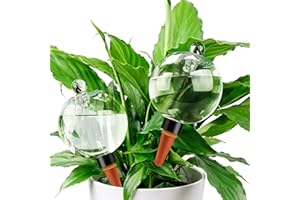 Soilagua 19 oz Extra Large Plant Self Watering Globes Top Fill, Plastic Water Bulbs, Slow Release Terracotta Self Watering Planter Insert, Plant Watering Devices System, Water Spikes Stakes, 2 Pack