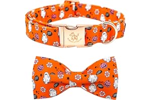 Elegant little tail Halloween Dog Collar, Fall Dog Collar Orange Pumpkin Holiday Pet Dog Collars Bow Puppy Durable Adjustable Girl Boy Pet for Small Dogs