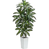 TNGGNT Artificial Dracaena Tree：6FT Faux Silk Tropical Yucca Floor Trees Realistic Fake Green Plant with Natural Wood Trunk & Lifelike Leaves for Home Office Decor Indoor & Outdoor (6FT,1-Pack,White)
