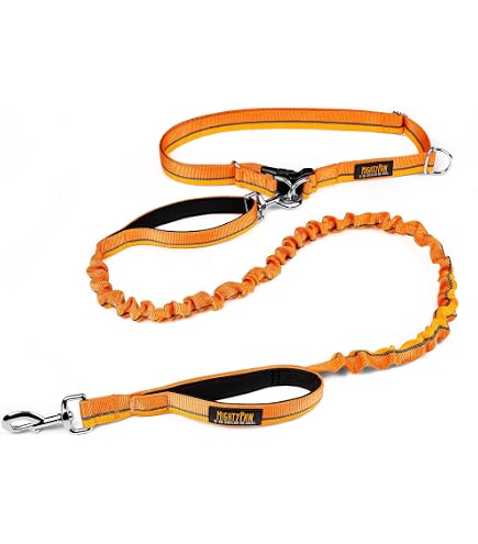 a dog collar or leash ThunderSnap Quick-Connect Leash for Dogs  ThunderShirt