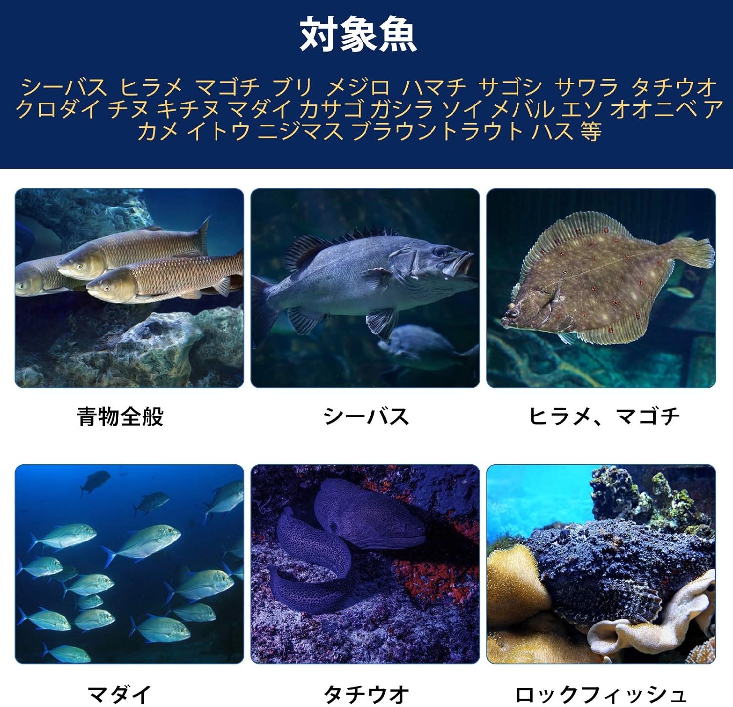 Amazon ルアー 5個異色 15g 25g 30g 40g 60g 海釣りルアー クリアケース付き シーバス ルアー スプーン ルアー ソフトルアー ハードルアー ワーム 釣具 シーバスバス釣り 淡水 ジグ ソフトルアー 多種類ルアー Homba ルアー