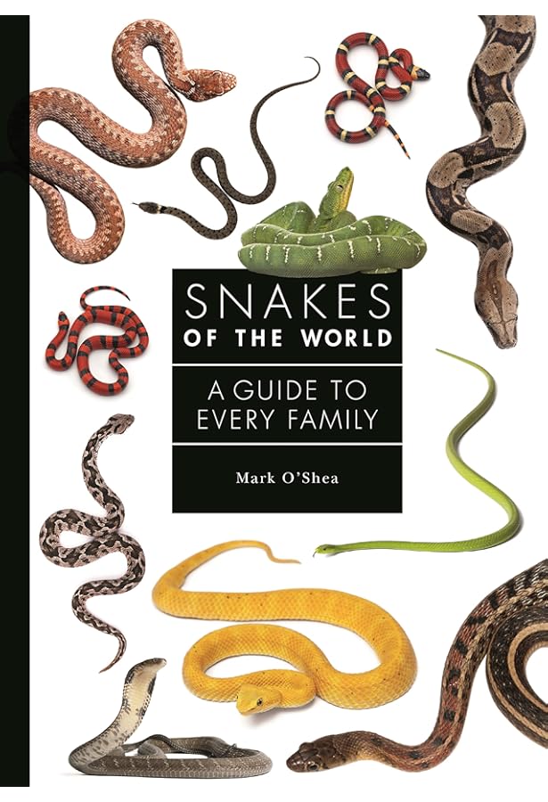 The Encyclopedia of Snakes: Mattison, Chris: 9780816039319: Amazon