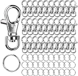 LEOBRO 60Pcs Swivel Lobster Clasps & Key Rings for Crafts