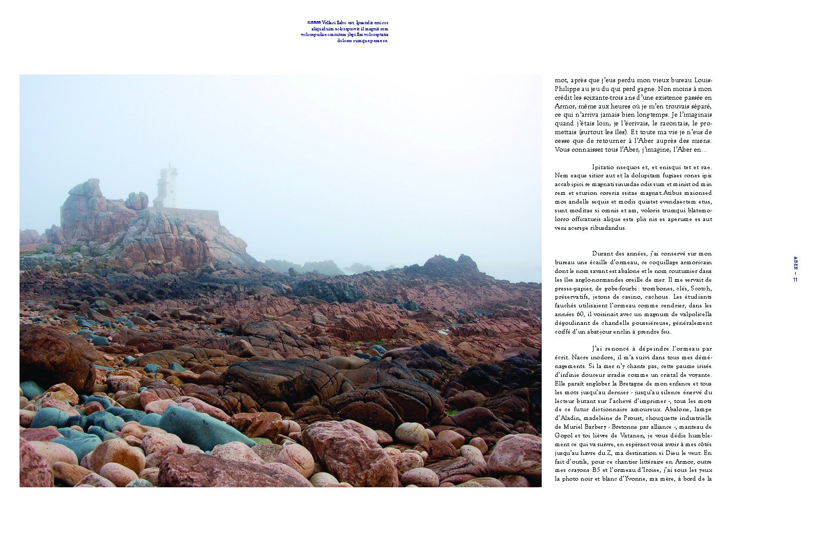 Dictionnaire Amoureux Illustré De La Bretagne Amazonfr - 