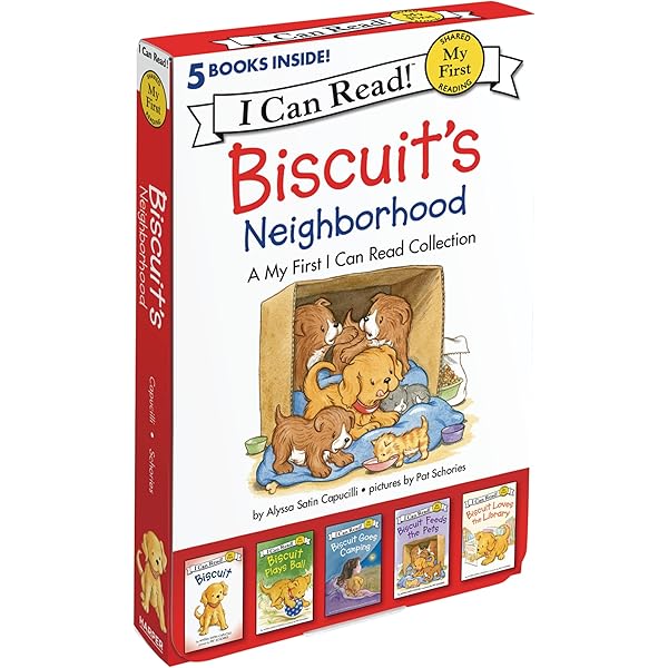 Reading With Phonics Fairy Tale Collection 20 Books Set