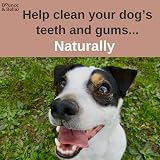 Bounce and Bella Natural Dog Dental Chews Chewy Chicken Beef Green Tea 100g view 4