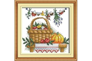 Funcrostitch Cross Stitch Kits Stamped Full Range of Embroidery Set,DIY Sewing Pattern Needlework Kits for Beginners 11CT 3 Strands-Table Vase Series Five 25cmX24cm