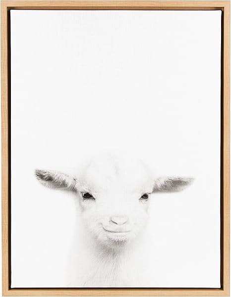 Kate Et Laurel Sylvie Bebe Chevre Noir Et Blanc Portrait Naturel Decoration Murale Sur Toile Encadree Par Simon Te Tai Natural 18x24 Amazon Ca Maison