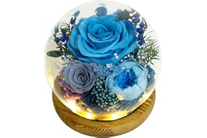 Valley of Rain & Forest Long-Lasting Real Flowers, Unique Floral Gift For you to send Love for All Occasions, for Indoor Decoration (Blue Rose, Grey Rose, White-Blue Austin Rose)