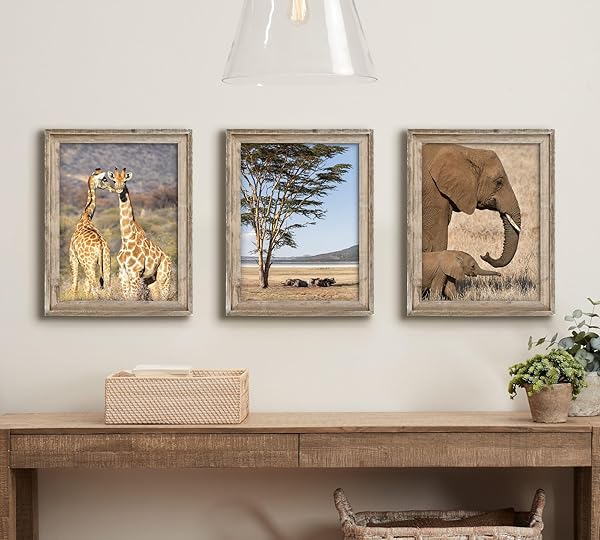 NWDCLF RUSTIC 18X24 PICTURE FRAME, RECLAIMED BARNWOOD PHOTO FRAME WITH PLEXIGLASS, DISTRESSED NATURAL WOOD FRAME FOR WALL MOUNT, FARMHOUSE COUNTRY HOME OFFICE CABIN DÉCOR