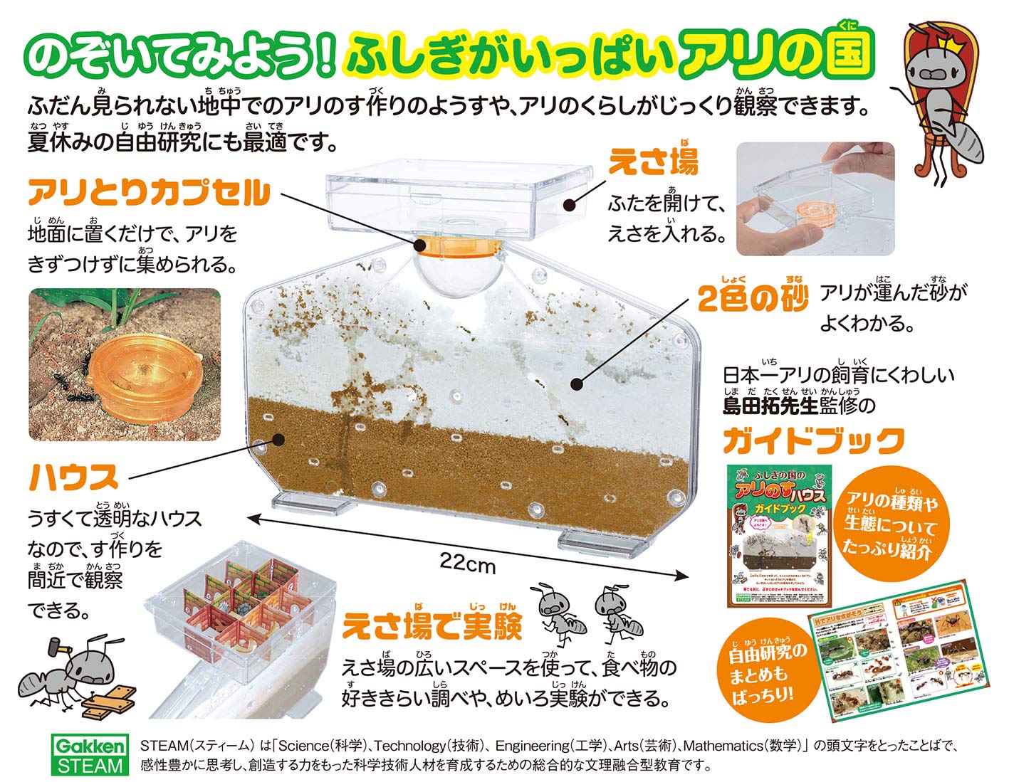 新品 未使用 Gakken 学研 アリの巣観察キット 宿題 自由研究 虫の観察 以上節約