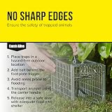 The Big Cheese Defenders Rat & Squirrel Cage Trap Humane Galvanised Metal view 8
