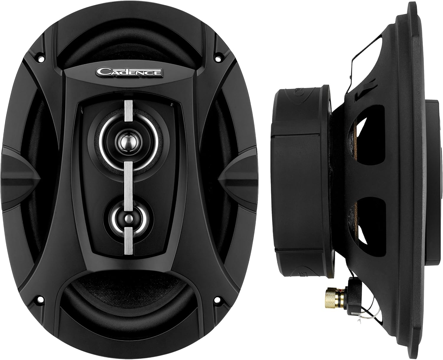 cadence 10 inch subwoofer